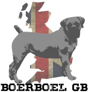 Boerboel GB